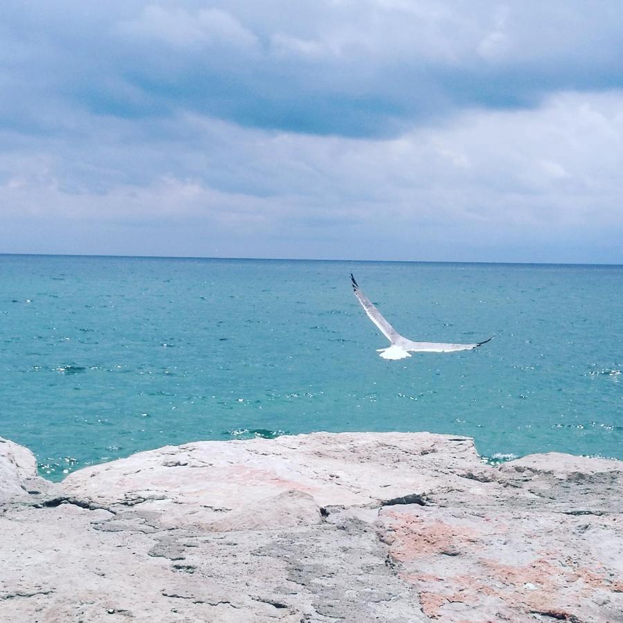 B&B Dimora Di Traiano Terracina Exteriör bild